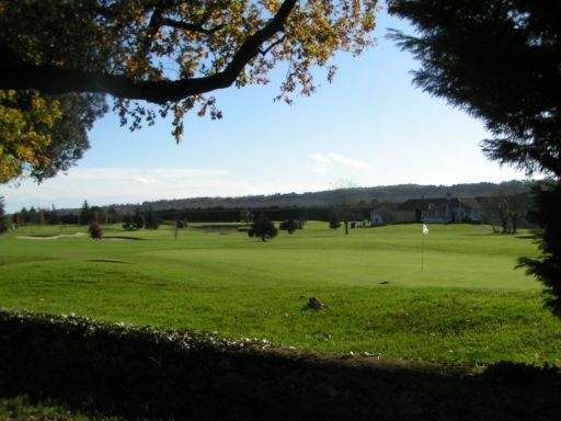 cognac golf image