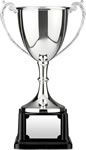golf tour trophy image
