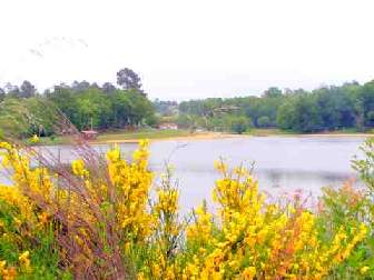 summer camp lake image