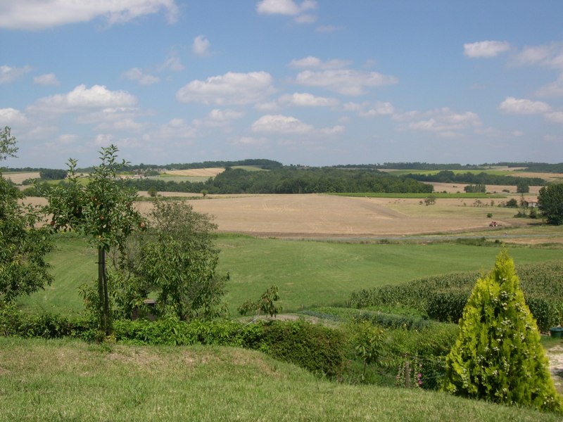 fields of brossac shops image