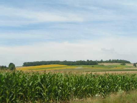 charente countryside france image