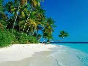 The beaches of Maldives image