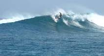 SURFING IN THE MALDIVES