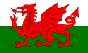 wales flag image