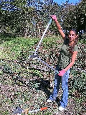 emily prunning image
