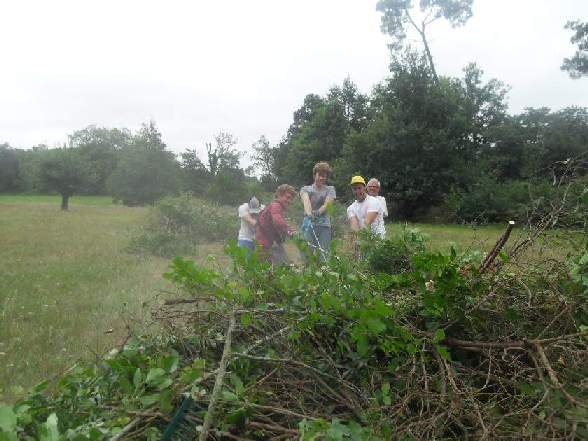 landscape work image