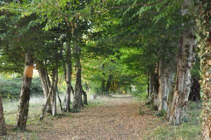 la giraudiere alley image