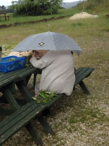 volunteer from New Zealand