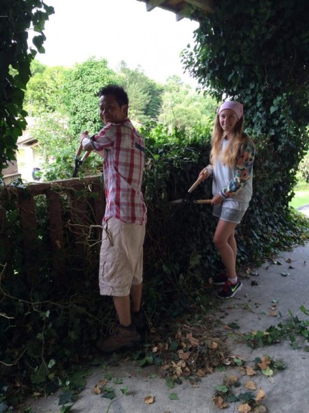 Bruce and Alina hedge trimming.