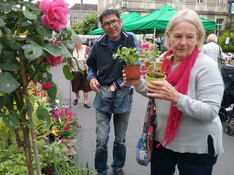 Herbs to be planted in the garden at La Giraudiere