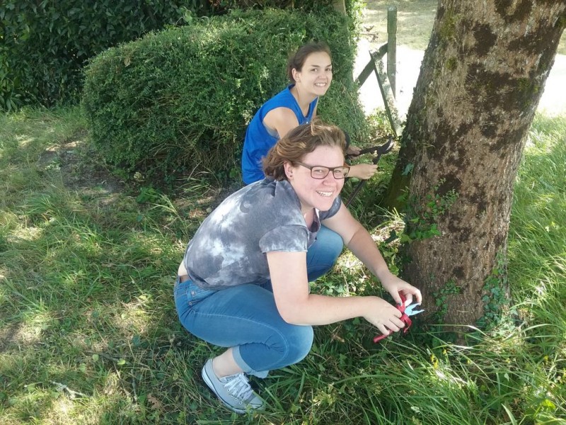 Joanna and Emily from UK tree trimming. Great job!