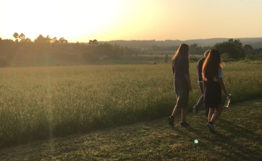 volunteers walking by the field, watching the sunset