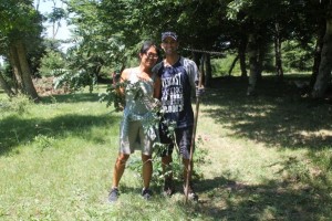 Volunteers gardening