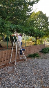 gwen_returning-volunteer