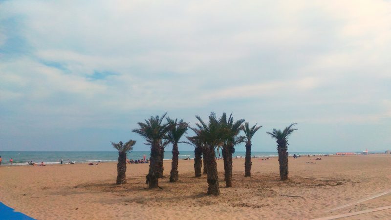 Volunteers explore Narbonne Beaches