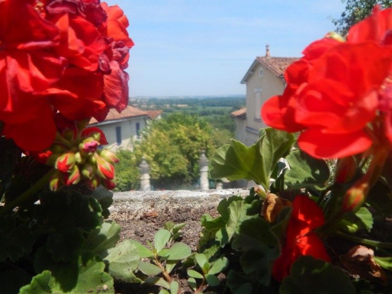 aubeterre roses